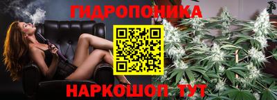 a pvp Конаково
