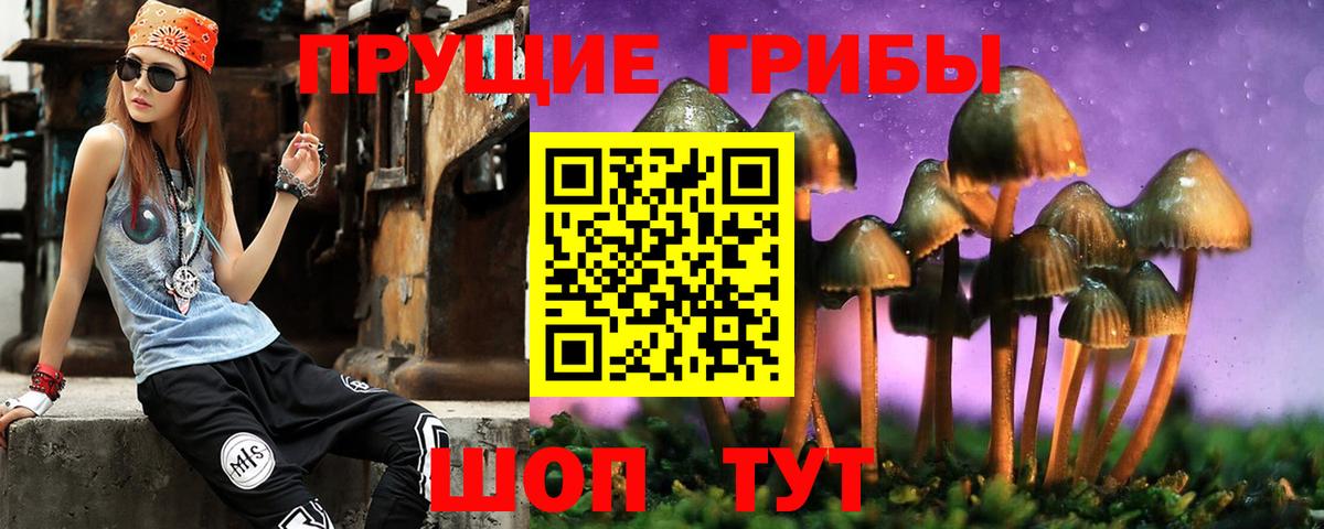 хочу наркоту  Галлюциногенные грибы Psilocybine cubensis  Вход с VPN  Кохма 