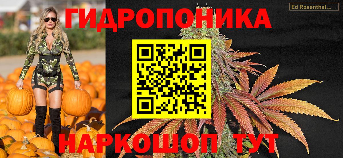 МАРИХУАНА Amnesia Кохма